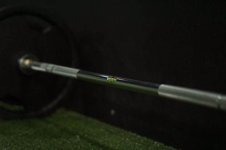 The Level Bar