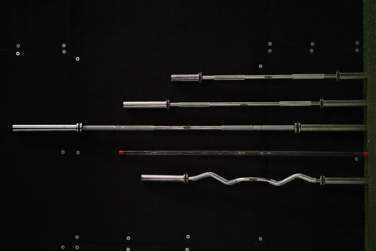 The Level Bar